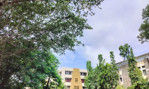 浑身上下酸痛没力气-浑身上下酸痛没力气、全身酸痛无力没精神感觉好累 -浑身上下酸痛网