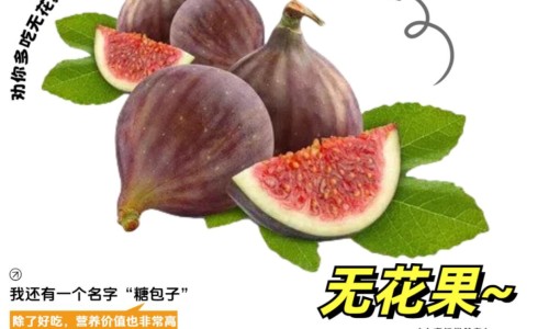 全身酸痛无力没精神感觉好累-浑身上下酸痛没力气、全身酸痛无力没精神感觉好累 -浑身上下酸痛网